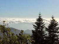 Col de Turini por La Bollène-Vésubie
