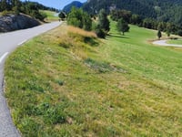 Col de Vars