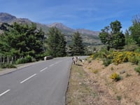 Col de Vergio von Ponte Castirla