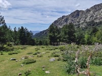 Col de Vergio