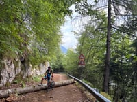 Col dei Colombi from Selva di Grigno