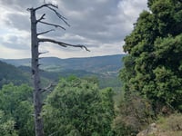 Col del Teulé por Route des Chomeurs