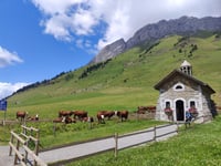 Col des Aravis von Flumet