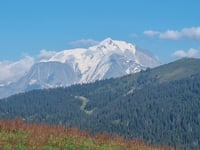 Col des Aravis