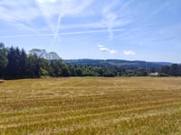 Col des Arentes von Granges sur Vologne