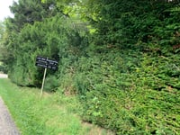 Col des Bagenelles from Hachimette