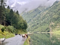 Col des Bordères from Argeles Gazost via Estaing