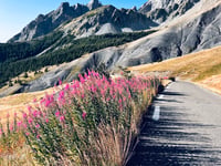 Col des Champs von Colmars