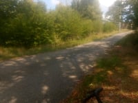 Col des Chevrères über Belfahy