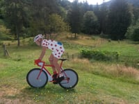 Col des Chevrères da Rexelaxert via Miellin