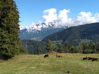 Col des Cyclotouristes von Albertville über Marolland