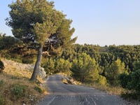Col des Escourtines von Les Beaumettes