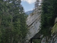 Col des Étroits