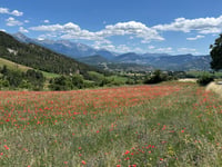 Col des Fillys von Selonnet