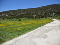 Col des Glières von Le Petit Bornand