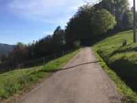 Col des Hayes von Saulxures sur Moselotte über Route du droit du Rupt de Bâmont