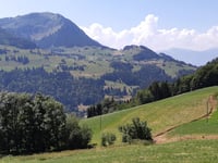 Col des Mosses da Moulins
