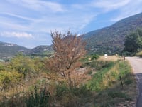 Les Astauds von Malaucène