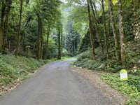 Col du Ballon