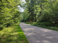 Col du Bannstein
