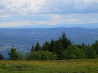 Col du Béal da Vertolaye
