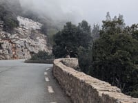 Col du Bel Homme von Bargemon