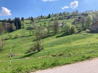 Col du Brabant da Cornimont