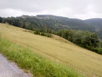 Col du Brabant von Cornimont