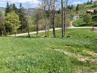 Col du Brabant da La Bresse