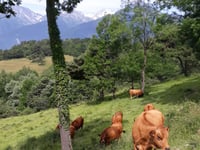Col du Chaussy