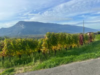 Col du Clergeon