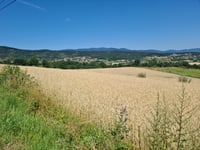 Col du Fayet da Félines