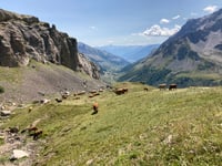Col du Galibier