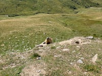 Col du Glandon von Barrage du Verney / Allemont