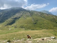 Col du Glandon von Barrage du Verney / Allemont