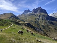 Col du Glandon von Barrage du Verney / Allemont