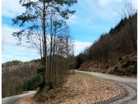 Col du Goetzenberg von Niedersteinbach