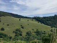 Col du Grand Ballon vanuit Saint-Amarin