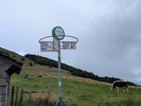 Grosser Belchen von Saint-Amarin