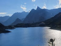 Col du Grand-Saint-Bernard