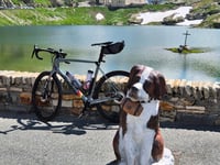 Col du Grand-Saint-Bernard from Orsières