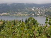 Côte de la Roche du Renard from Lac de Gérardmer