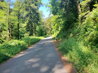 Col du Hundsruck z Thann przez Route Forestière