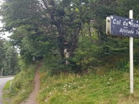 Col du Hundsruck von Bitschwiller-lès-Thann