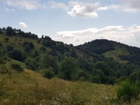 Col du Hundsruck von Bitschwiller-lès-Thann