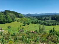 Col du Las von Saâles