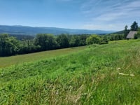 Col du Las von Saâles