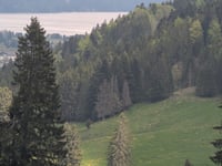 Col du Marchairuz depuis Le Brassus
