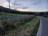 Col du Marly von Arbre