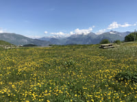 Col du Mollard